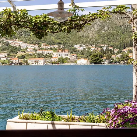 Lion - Sea House 1 Zaton (Dubrovnik-Neretva)